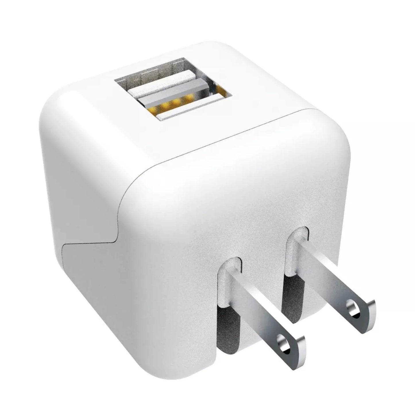 Xyst 2.4-Amp Dual USB Foldable Wall Charger