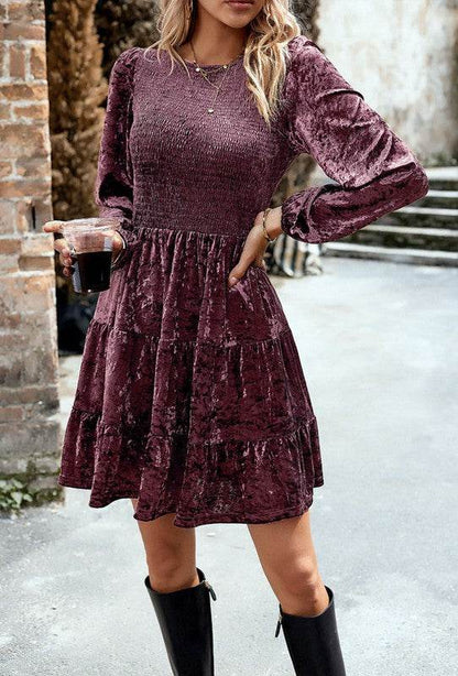 Long Sleeve Smocked Velvet Dress