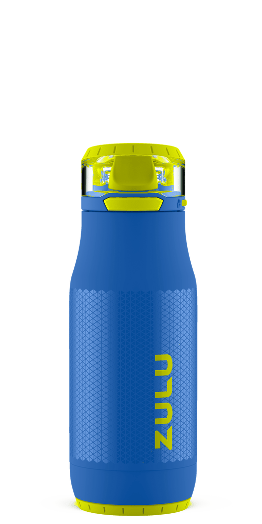 (2 Pack)  Chase Vacuum Sealed Stainless Steel Kid'S Water Bottle, Blue and Green, 14 Fluid Ounces