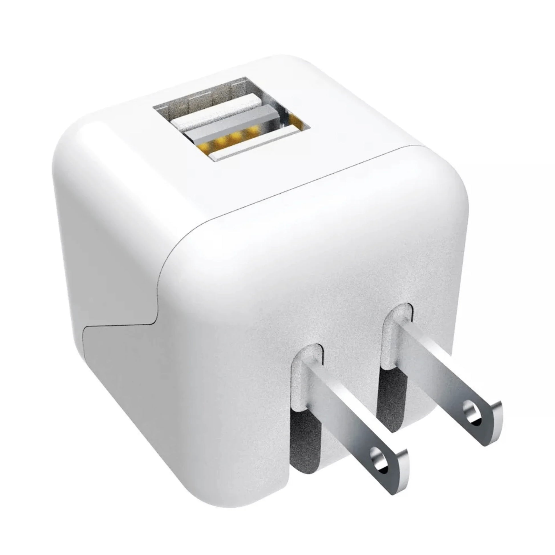 Xyst 2.4-Amp Dual USB Foldable Wall Charger